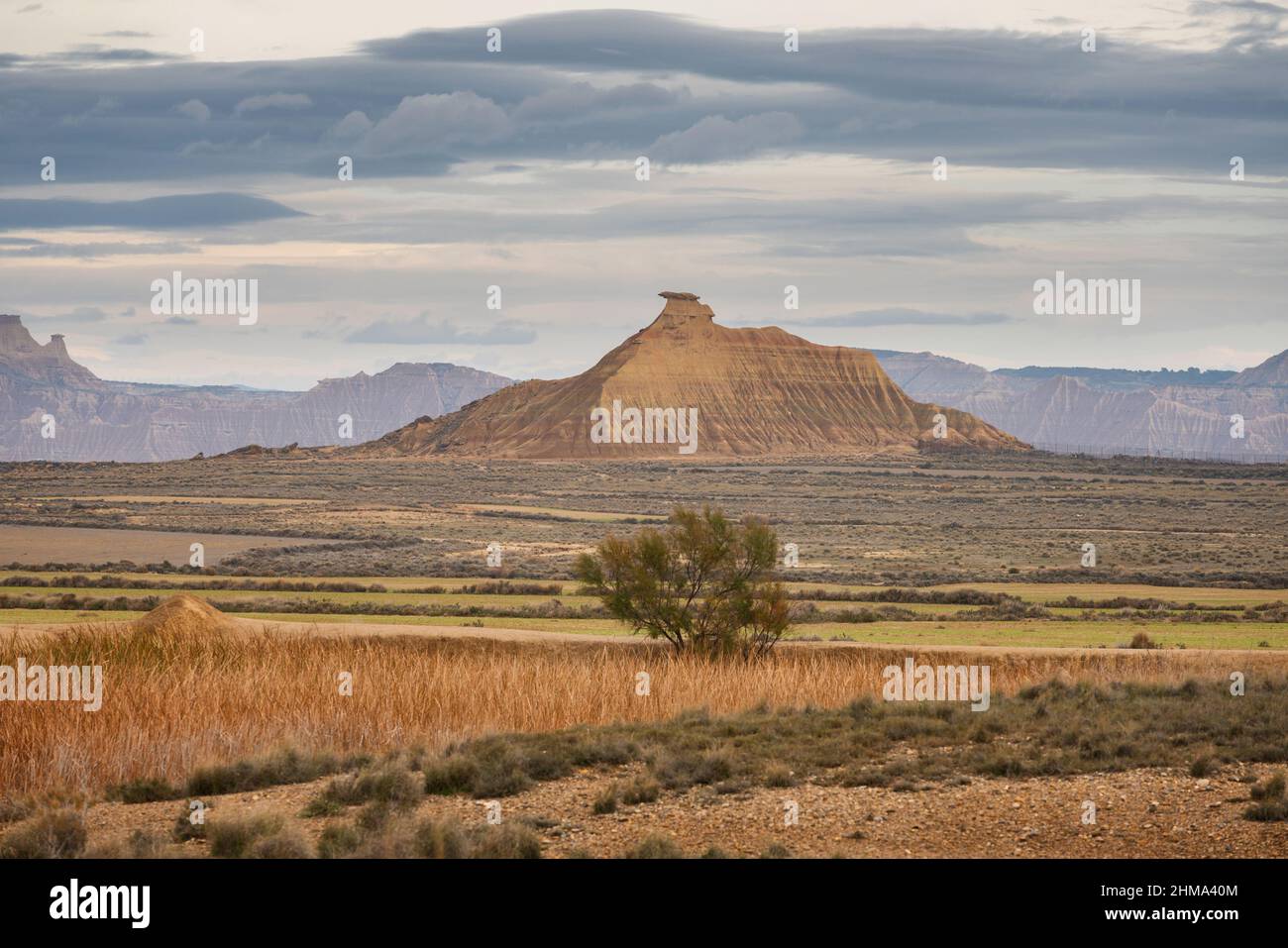 Vista pintoresca del cultivo de pasto seco en el valle del desierto en Bardenas Reales en Navarra, España Foto de stock
