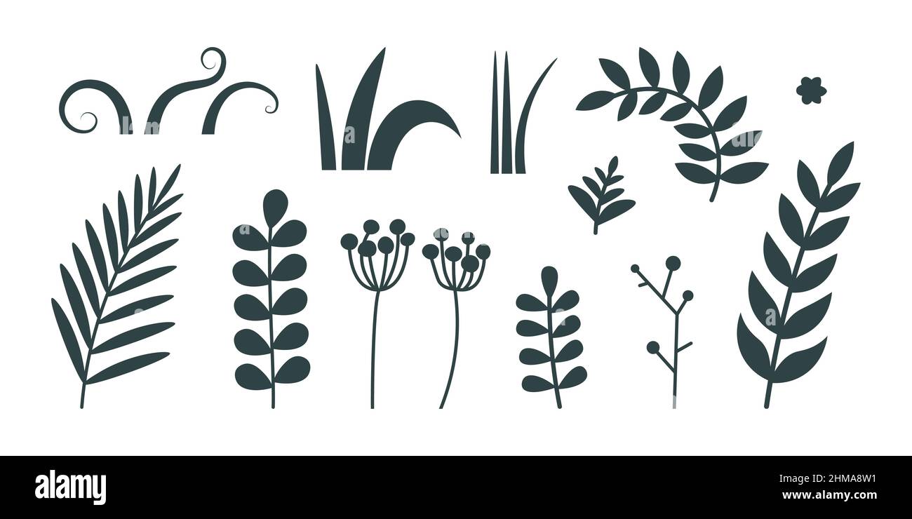 Elementos aislados para el diseño botánico - rama con hojas, hojas y hierba. Siluetas de plantas planas vectoriales. Elementos para el diseño, iconos. Ilustración del Vector