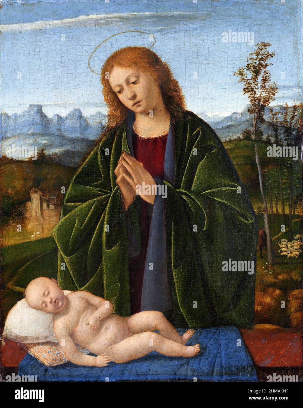 Madonna Adoring the Child por el pintor renacentista veneciano Marco Basaiti (c. 1470–1530), aceite en el panel, c. 1520 Foto de stock