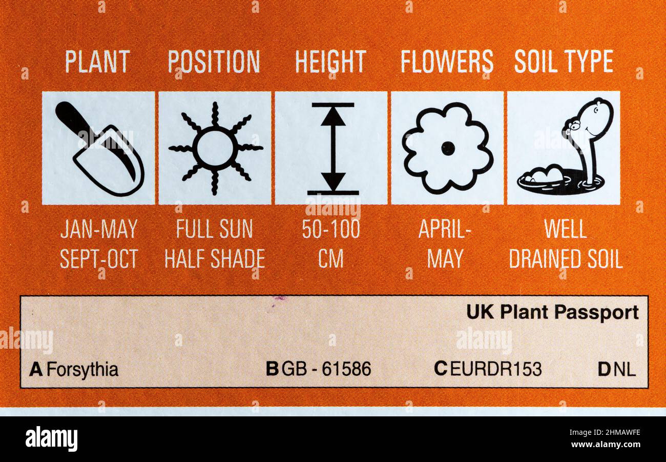 UK Plant Passport detalles e instrucciones de cuidado en una planta comprada en un centro de jardín. Foto de stock