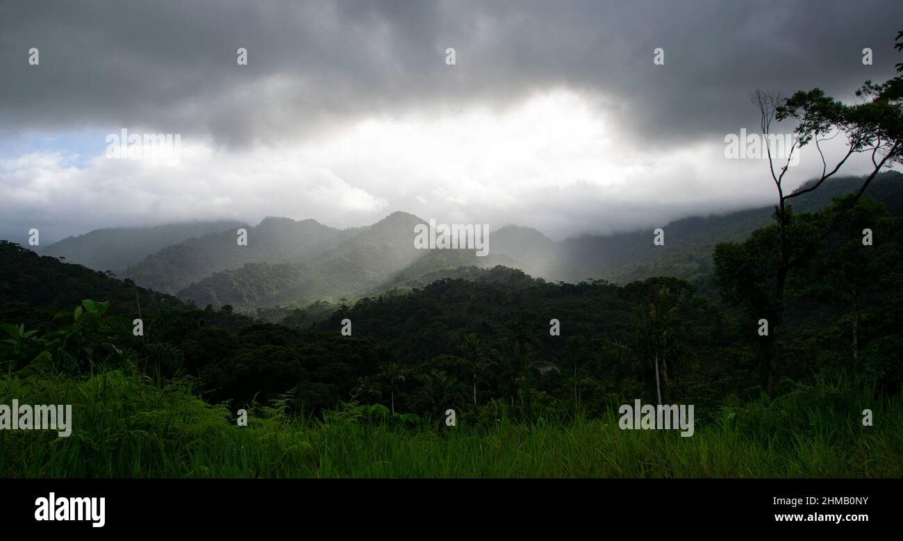 Vista de Pano de la selva tropical en el Parque Nacional Santa Fe, Panamá Foto de stock