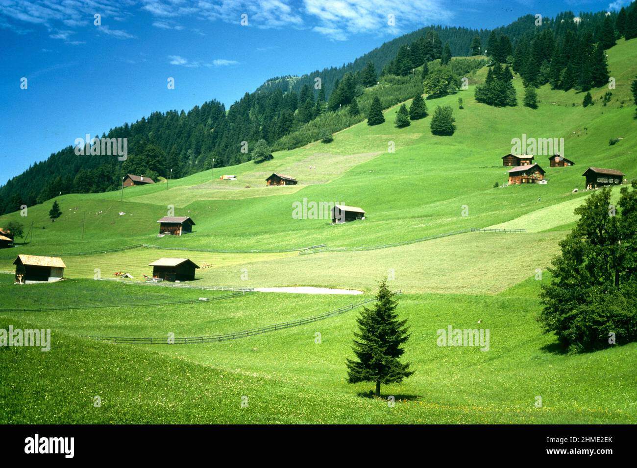 Colina alpina salpicada de casas y graneros en 1981, Triesenberg, Liechtenstein Foto de stock