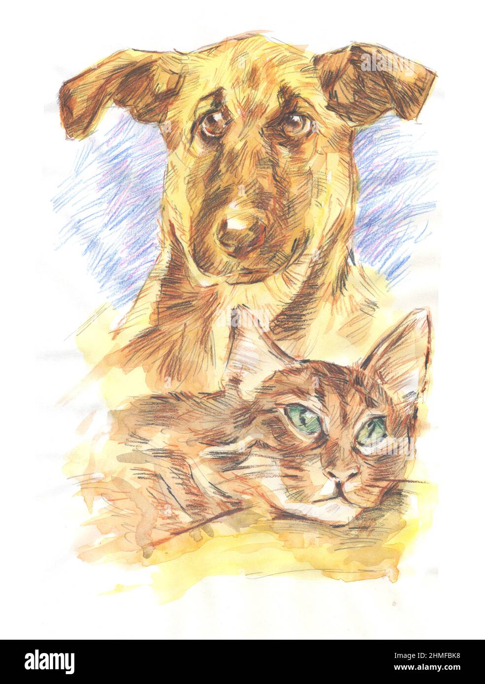 Perro y gato acuarela Imágenes recortadas de stock - Alamy