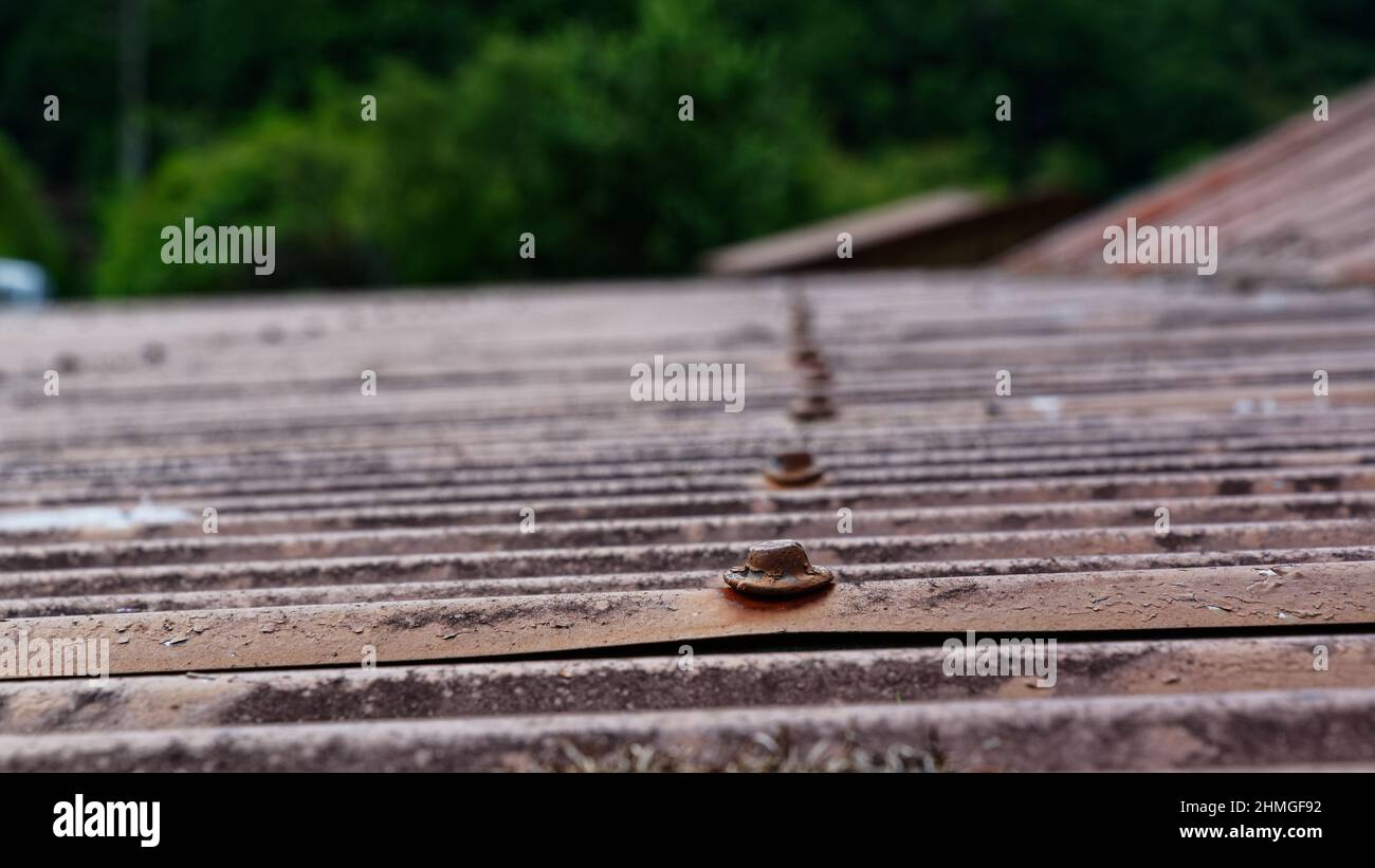 Clavos de cabeza de plomo en una línea en un techo de hierro corrugado oxidado Foto de stock