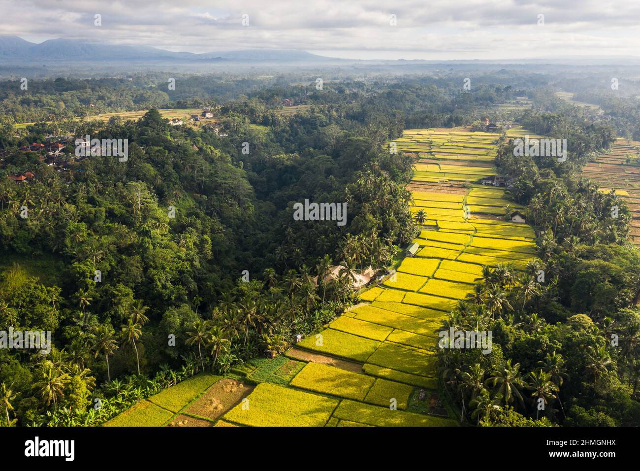 Vista aérea dramática de arrozales en el campo por Ubud en el centro de Bali en Indonesia Foto de stock