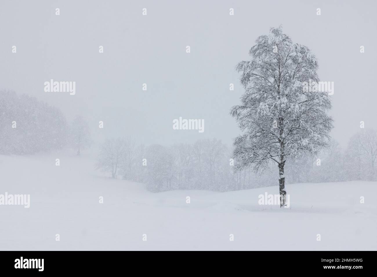Una típica escena invernal de Baviera. Foto de stock