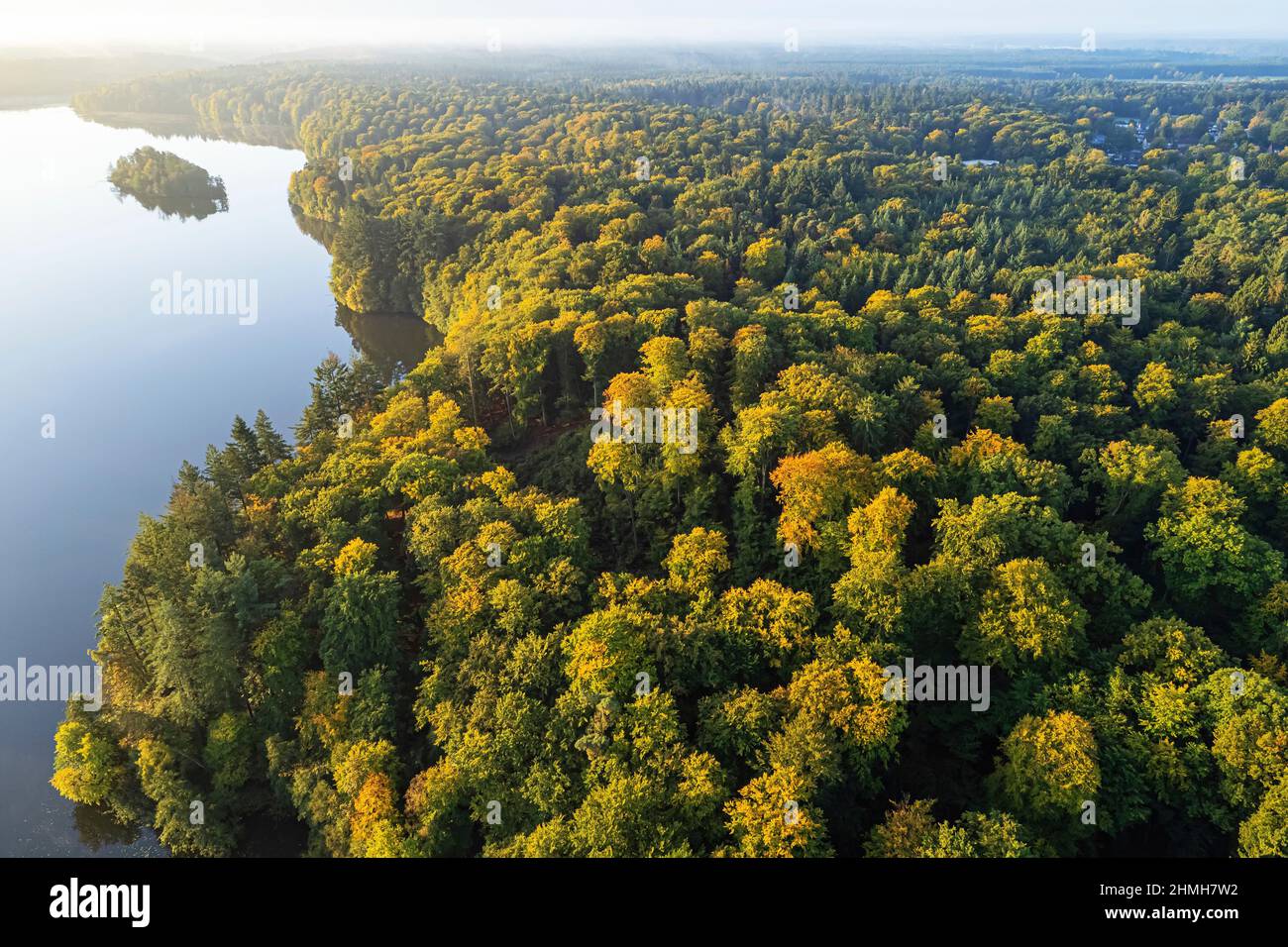 Impresión matutina en Drüsensee cerca de Mölln, tomada con un drone fotográfico Foto de stock