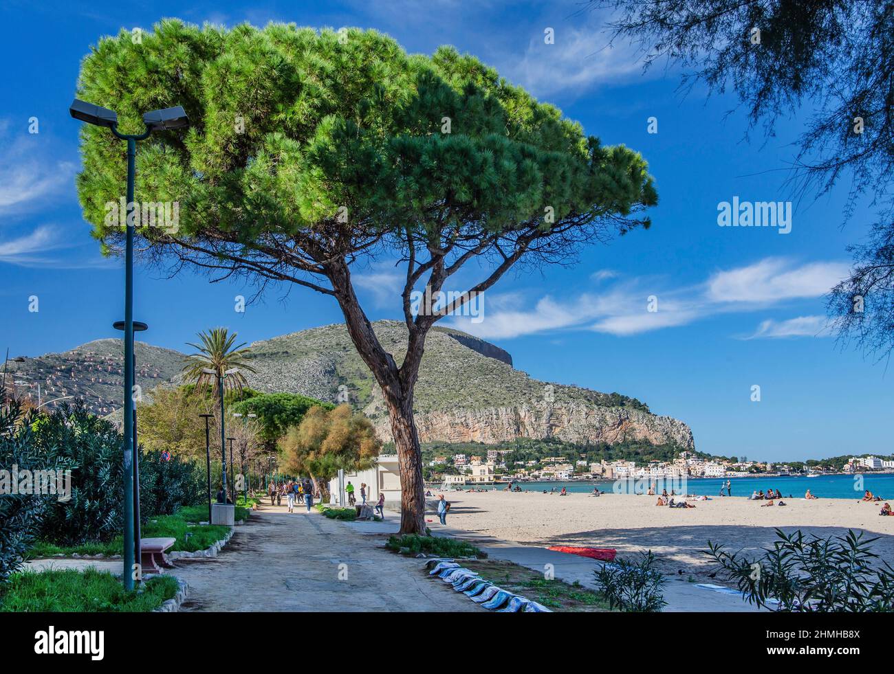 Paseo marítimo con pinos en la localidad costera de Mondello, distrito de Palermo, Sicilia, Italia Foto de stock