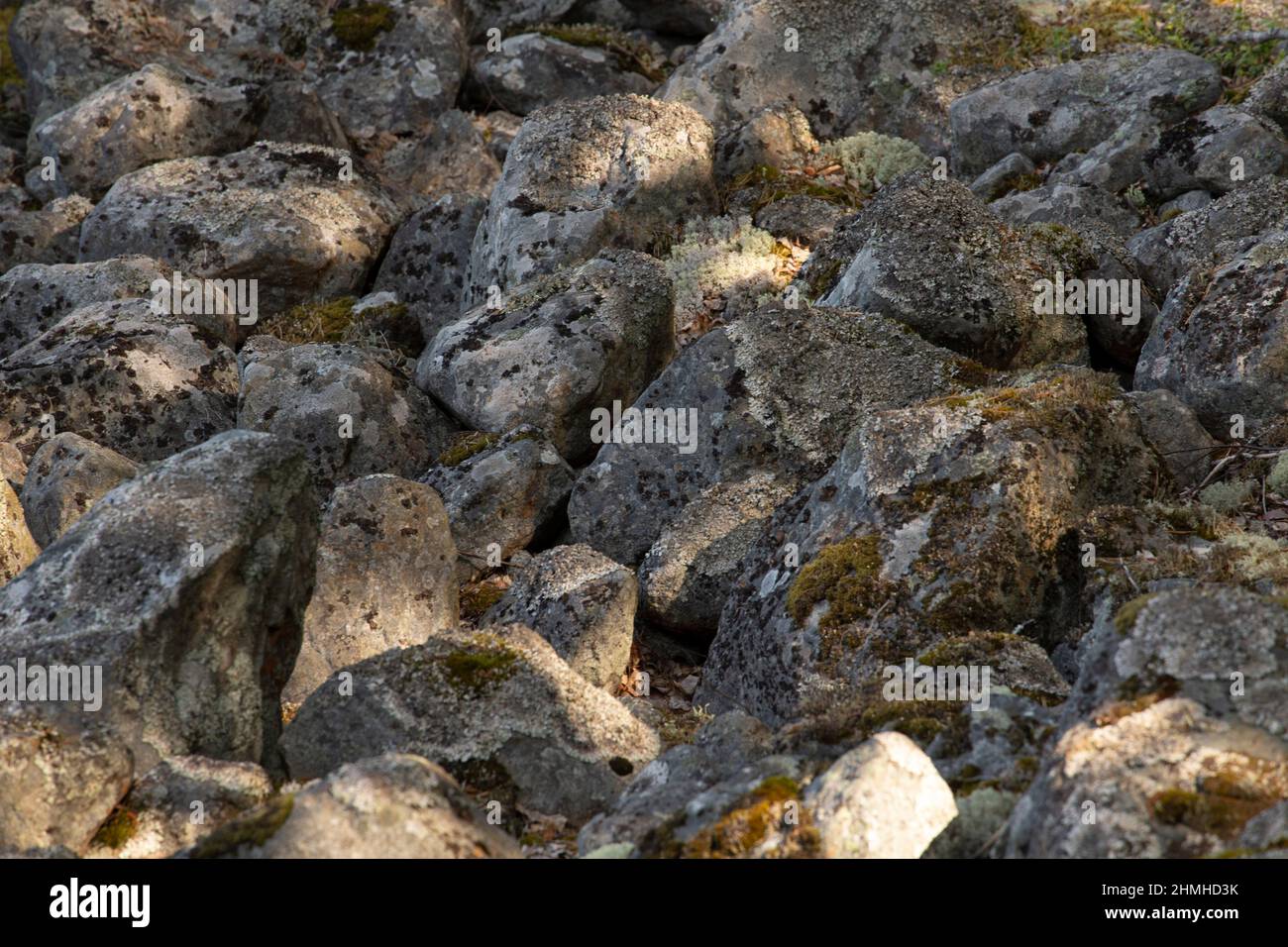 Grandes rocas grises junto al lago, terreno rocoso, Finlandia Foto de stock