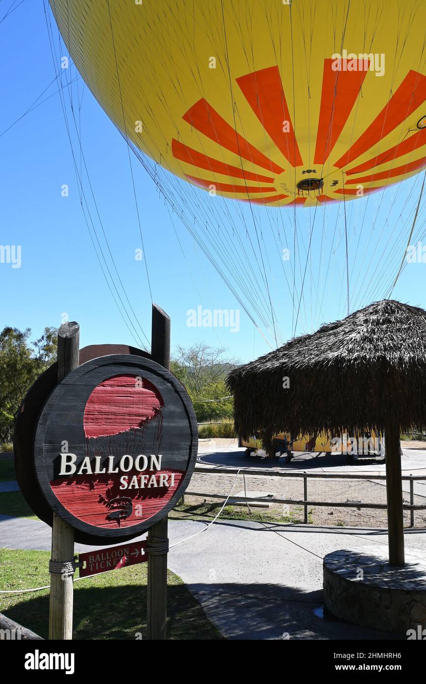 ESCONDIDO, CALIFORNIA - 9 FEB 2022: Cartel en el Balloon Safari Un paseo en el Safari Park del Zoo de San Diego que ofrece vistas panorámicas. Foto de stock