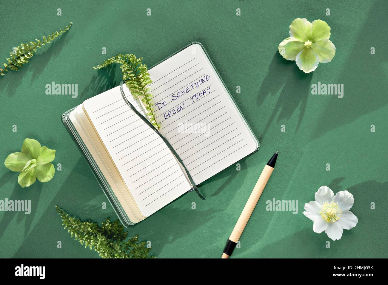 Cuaderno, texto hacer algo verde hoy con las linternas y las flores. Hojas de helecho, flores de Helleboro blanco verde. Plana sobre papel verde. Foto de stock