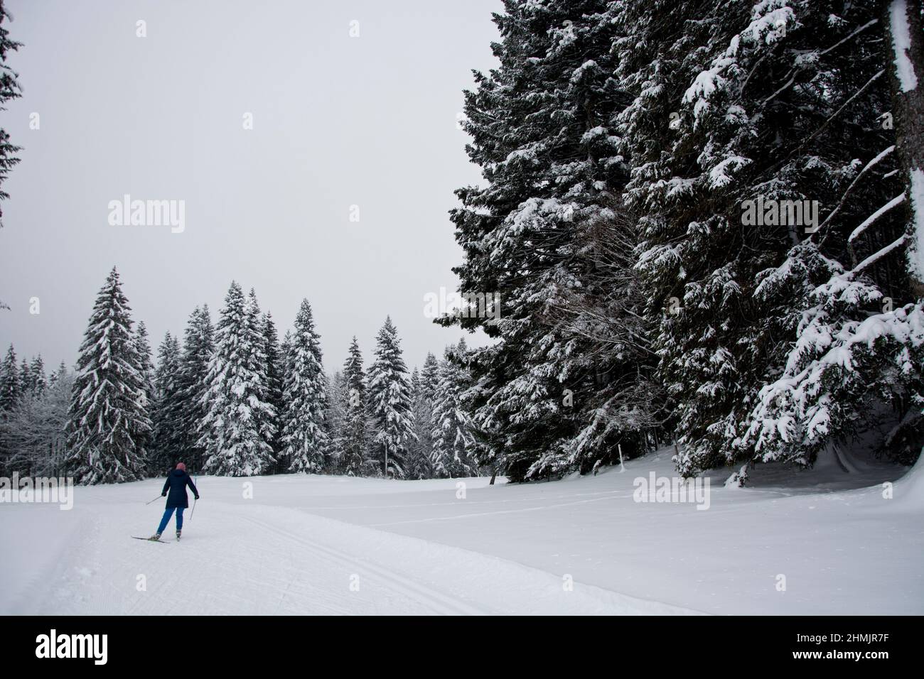 Langläufer en invierno Märchenlandschaft im Waadtländer Jura Foto de stock