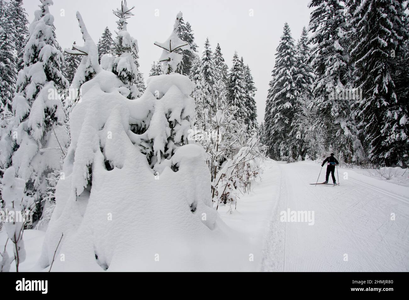 Langläufer en invierno Märchenlandschaft im Waadtländer Jura Foto de stock