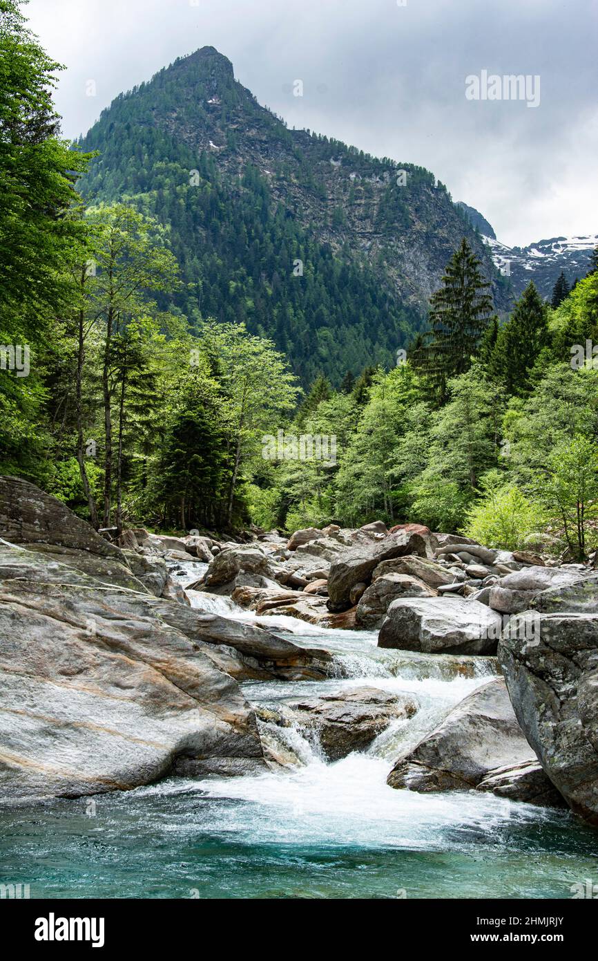 Der Riale di Moleno, ein malerischer und ungebändigter Bergbach im Tessin, Schweiz Foto de stock