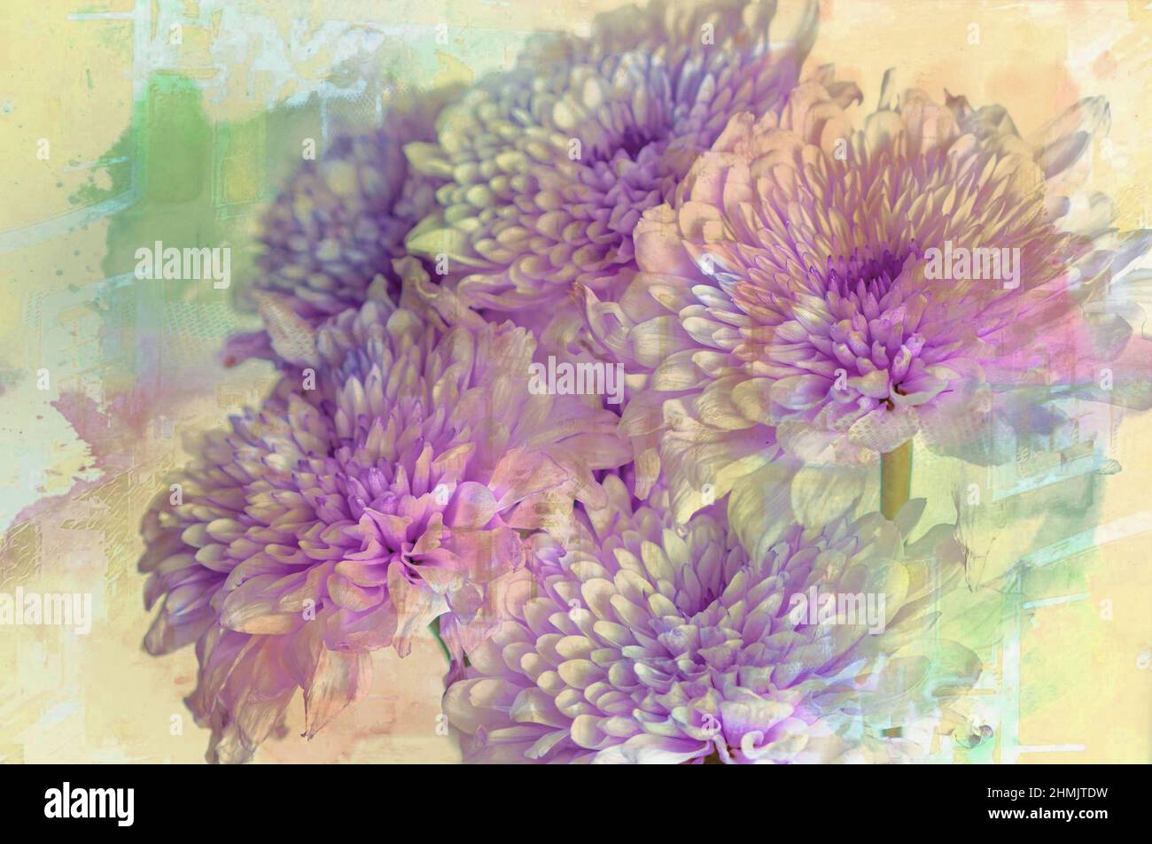 Imágenes de Arte de Pared de Flores luego procesadas como imágenes de arte fino con software de edición. Imágenes ideales para tipos Foto de stock