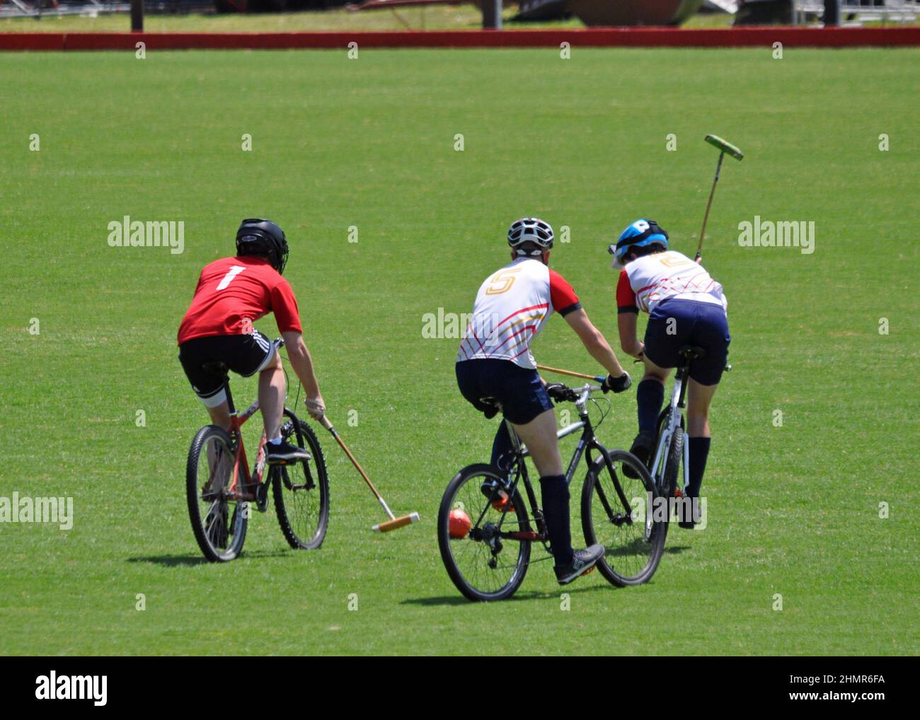 Bicicleta de polo fotografías e imágenes de alta resolución - Alamy