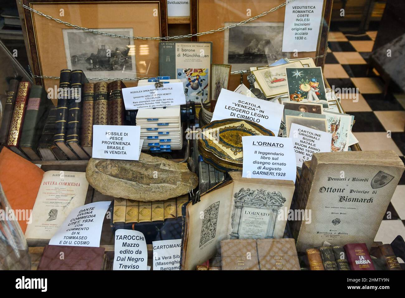 Pinturas, libros, fósiles, postales, cajas y otras antigüedades que se muestran en la ventana de la librería anticuaria Gatto, Turín, Piamonte, italia Foto de stock
