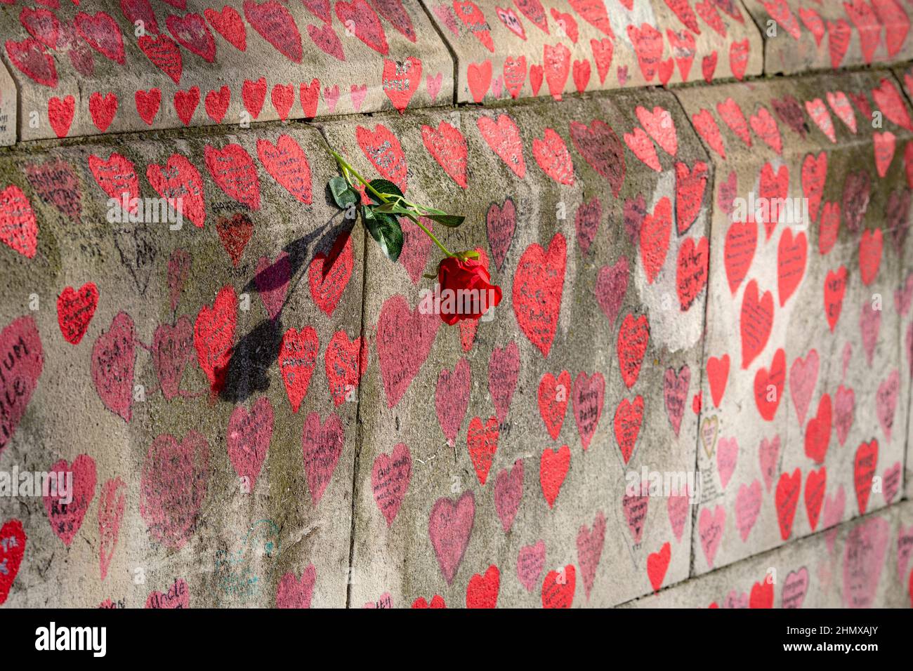 La rosa roja adoraba el National Covid Memorial Wall, Southbank, Londres, Reino Unido. Foto de stock