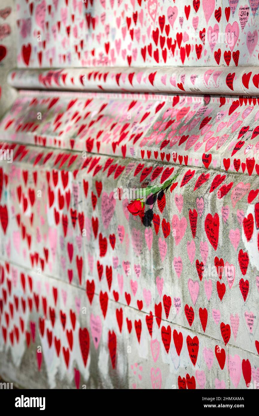 La rosa roja adoraba el National Covid Memorial Wall, Southbank, Londres, Reino Unido. Foto de stock