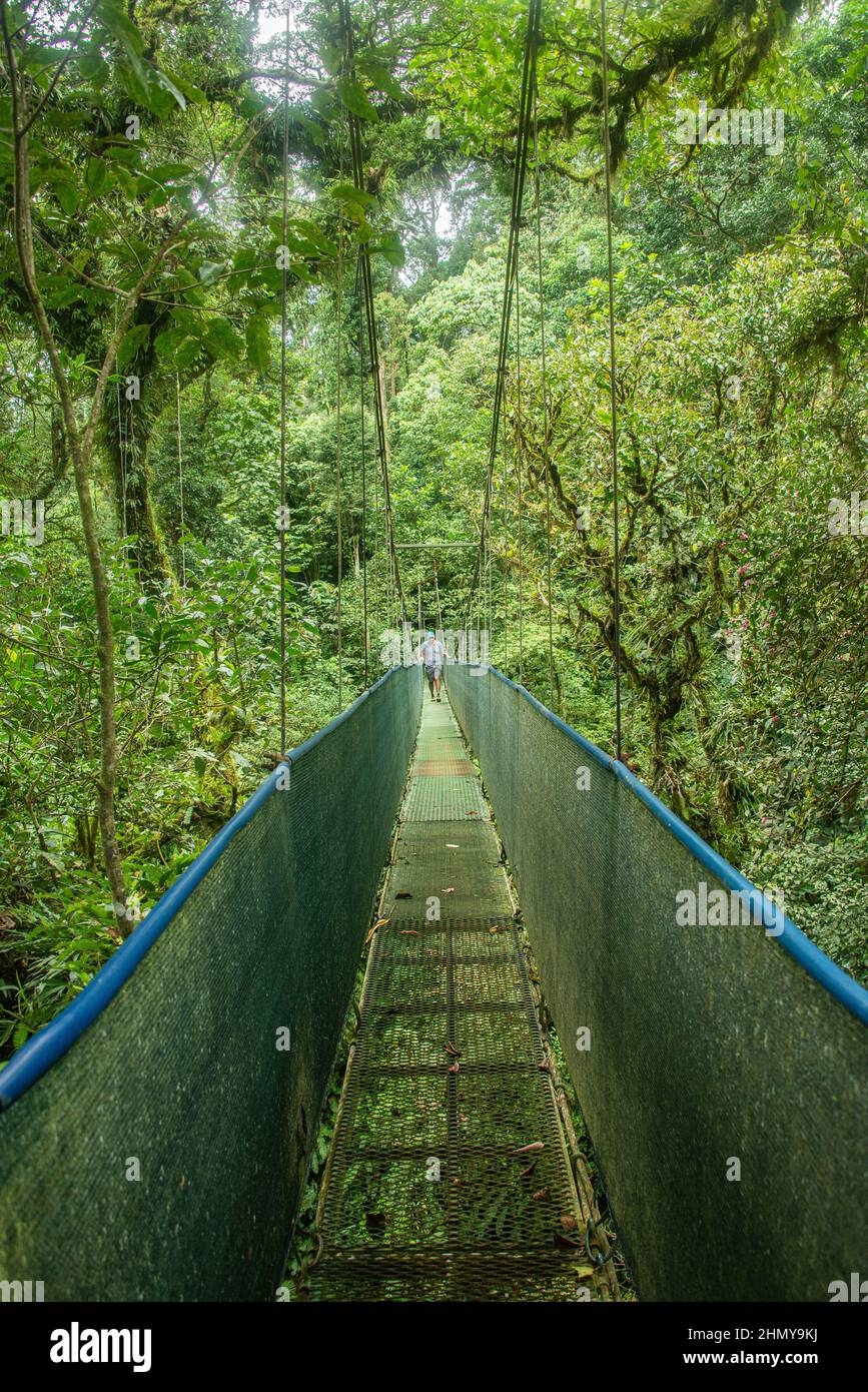 Puente colgante sobre el bosque nuboso, Guanacaste, Costa Rica Foto de stock