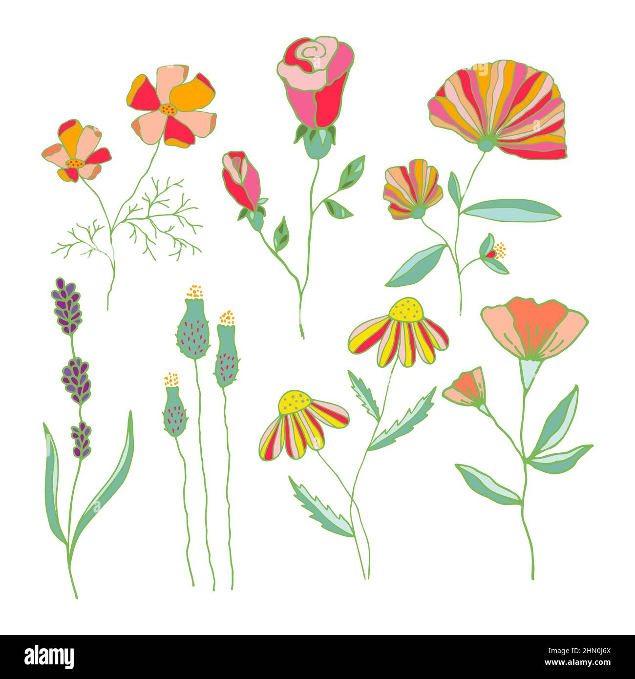 Conjunto vectorial de flores coloridas dibujadas a mano. Colección de flores  bonitas aisladas sobre fondo blanco Imagen Vector de stock - Alamy