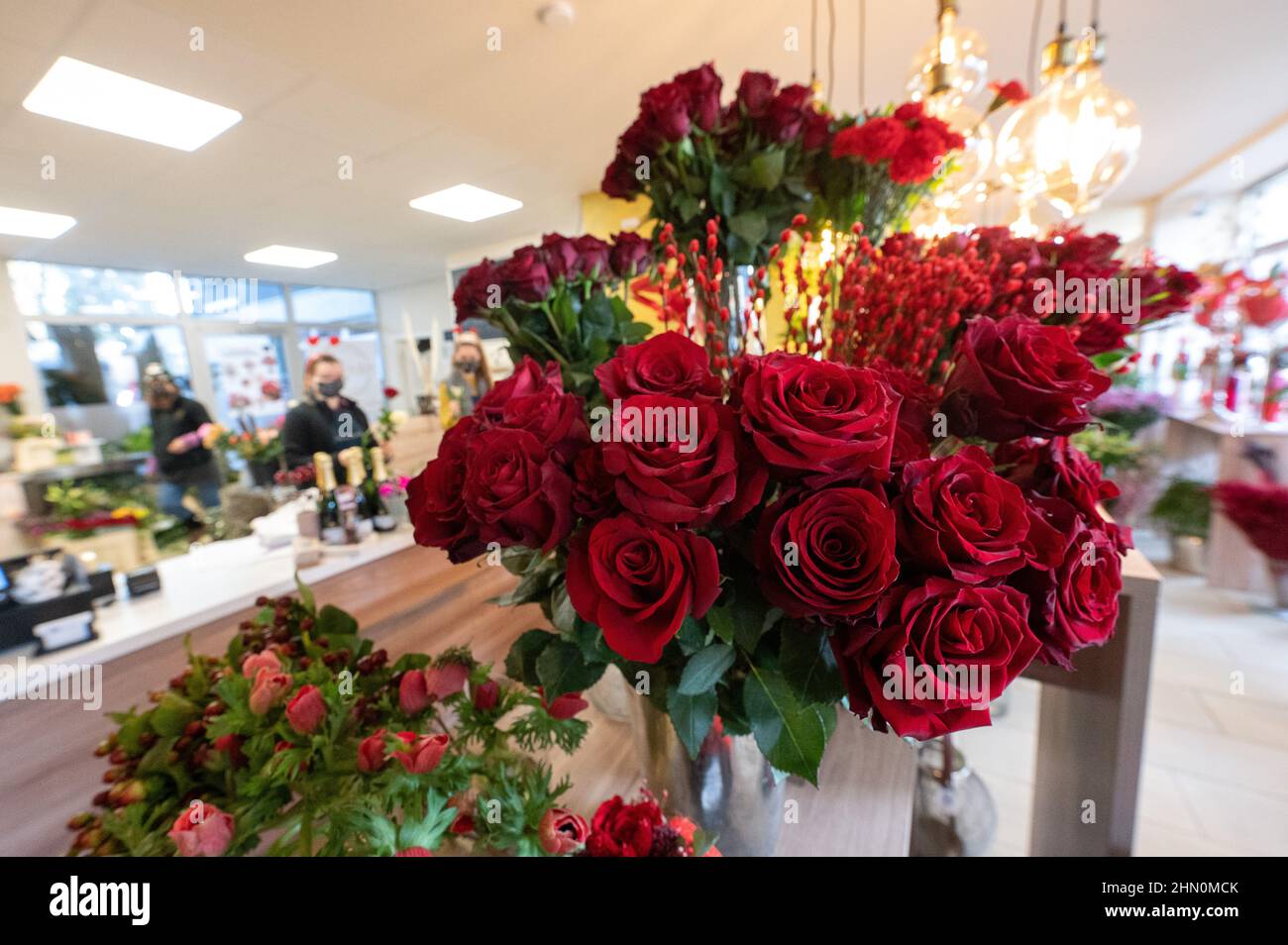 13 de febrero de 2022, Hessen, Fráncfort del Meno Las rosas rojas se