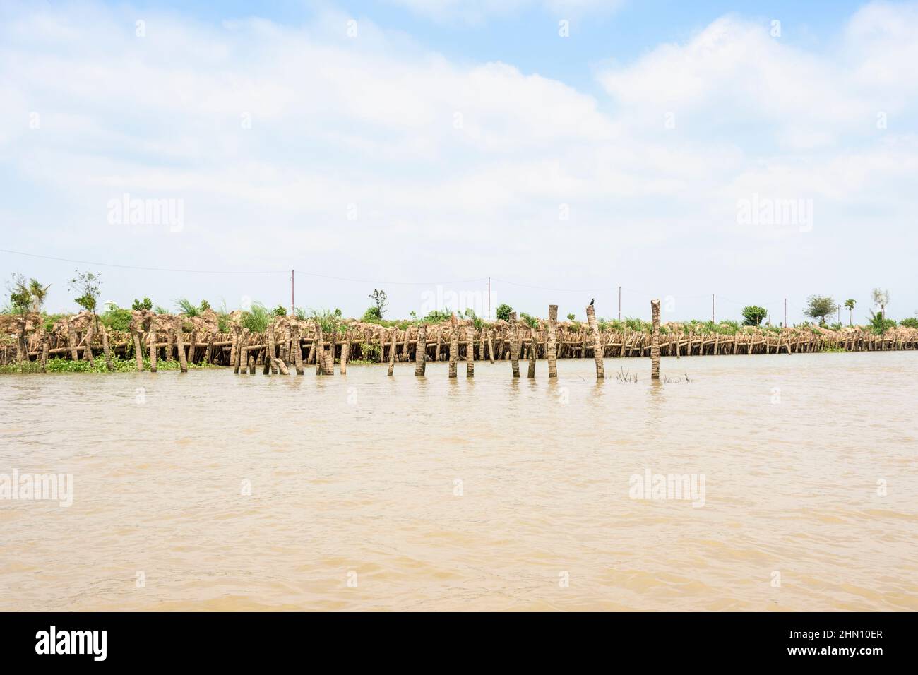 Las orillas del río están reforzadas con barreras de madera para controlar la erosión en el río Mekong, el delta del Mekong, la provincia de Vinh Long, Vietnam del Sur Foto de stock