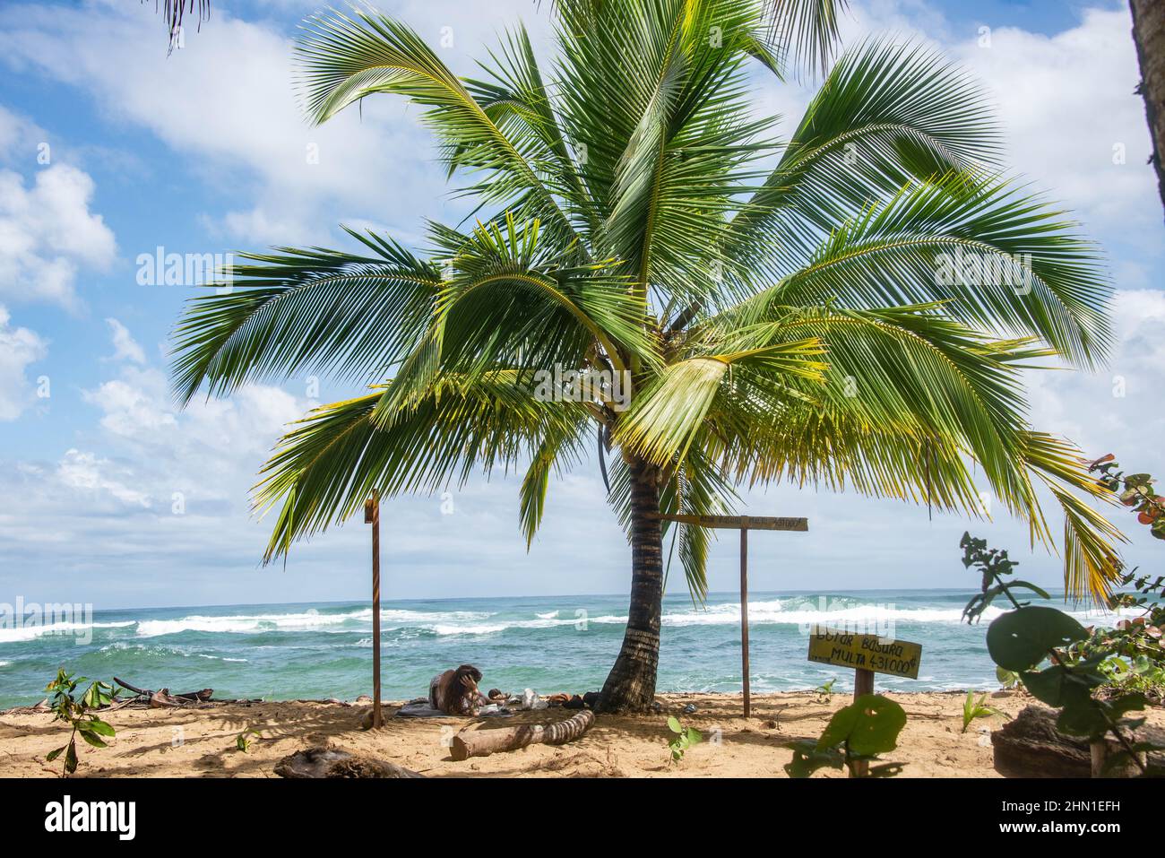 Hermosa playa tropical Punta Uva, Limón, Costa Ric Foto de stock