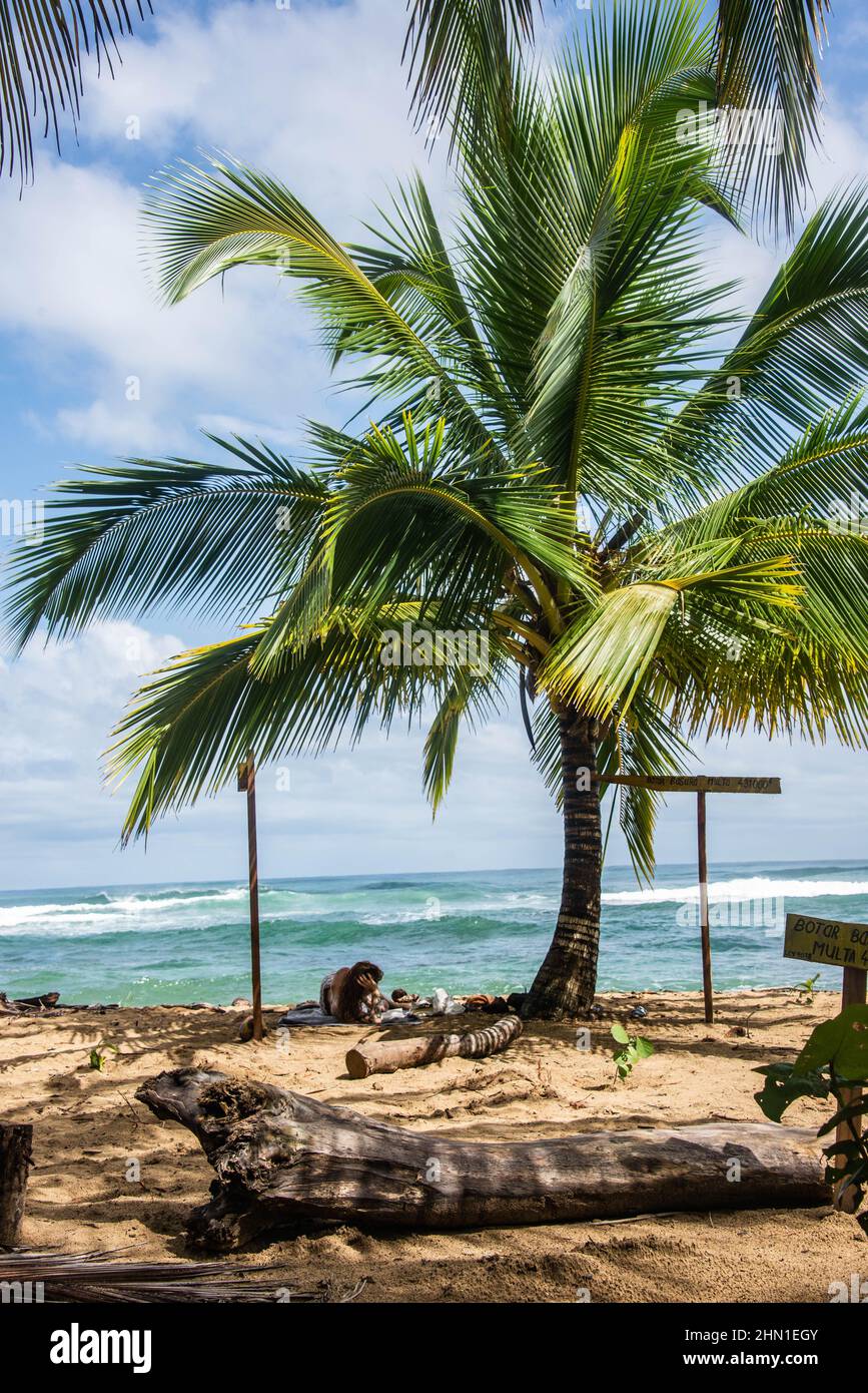 Hermosa playa tropical Punta Uva, Limón, Costa Ric Foto de stock