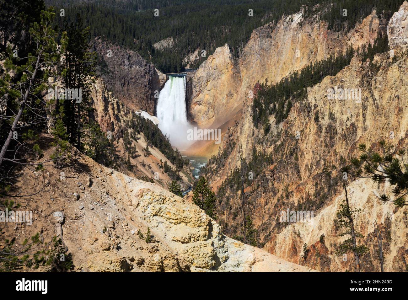 Rainbow en Lower Falls y Yellowstone Grand Canyon, Yellowstone NP, Wyoming Foto de stock