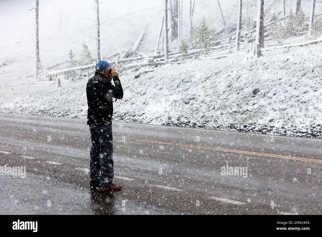 Tormenta de nieve de verano, fotografías turísticas paisajes cubiertos de nieve, Dunraven Pass, Yellowstone NP, Wyoming, Estados Unidos Foto de stock