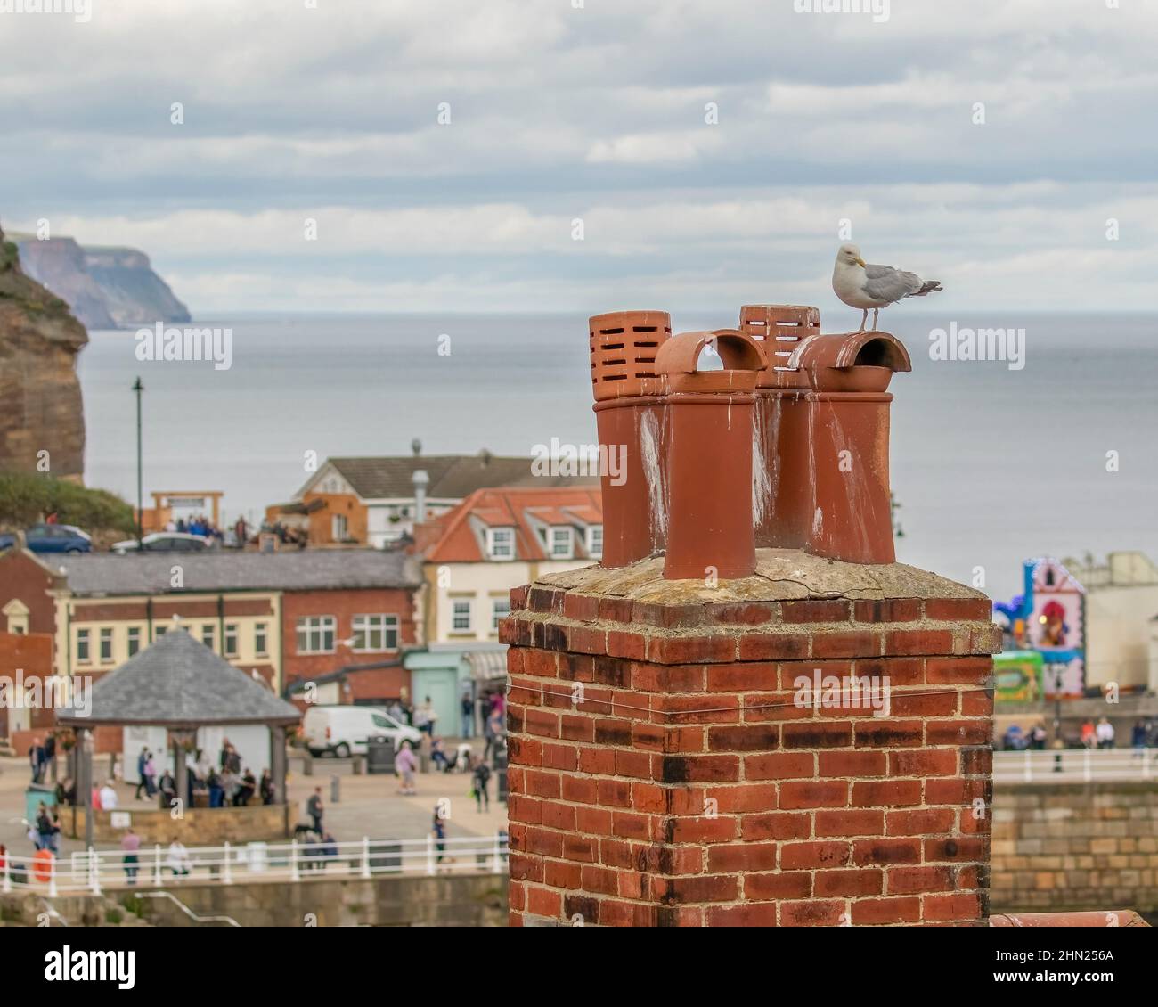 Gaviota sentado en una chimenea con vistas al mar detrás de Whitby en la costa este de Inglaterra Foto de stock