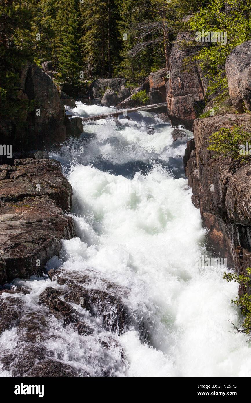 Lake Creek Falls, Beartooth Highway, Parque Nacional Shoshone, Montana, cascadas, rapids, agua salvaje, Foto de stock