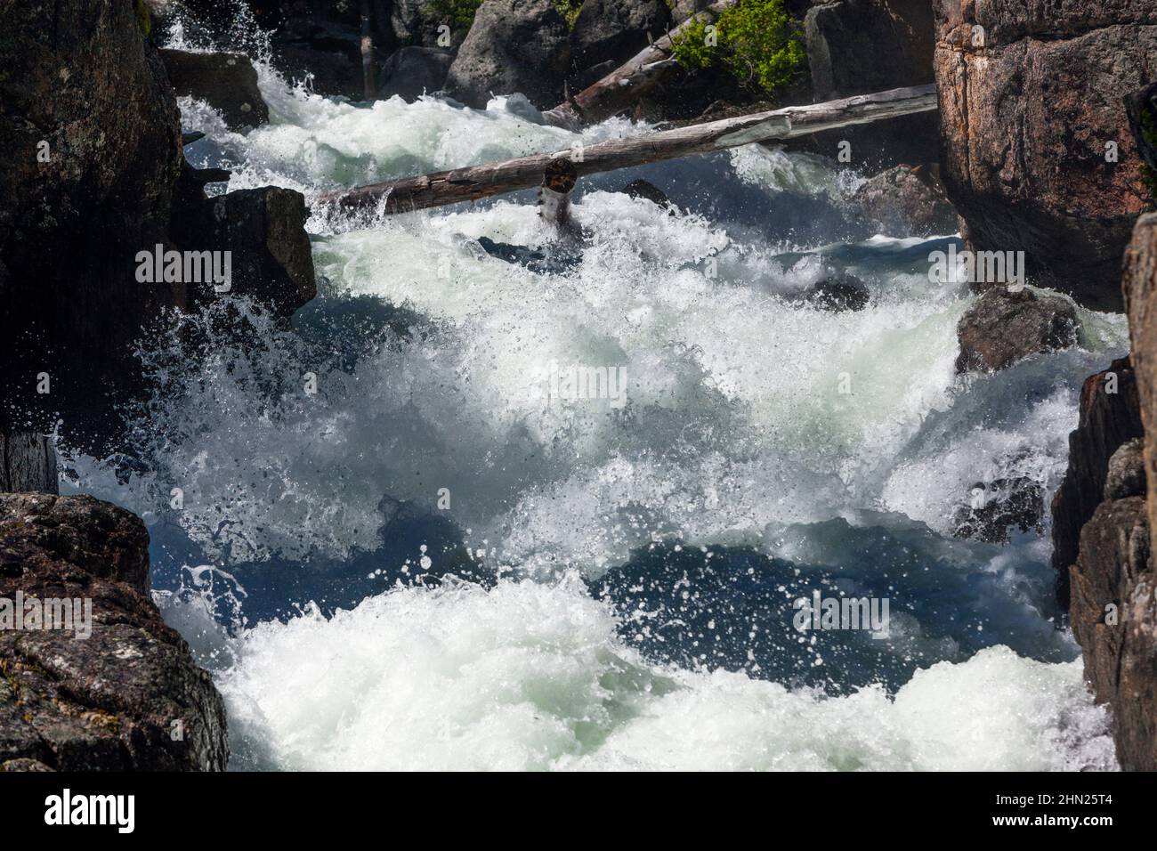 Lake Creek Falls, Beartooth Highway, Parque Nacional Shoshone, Montana, cascadas, rapids, agua salvaje, Foto de stock