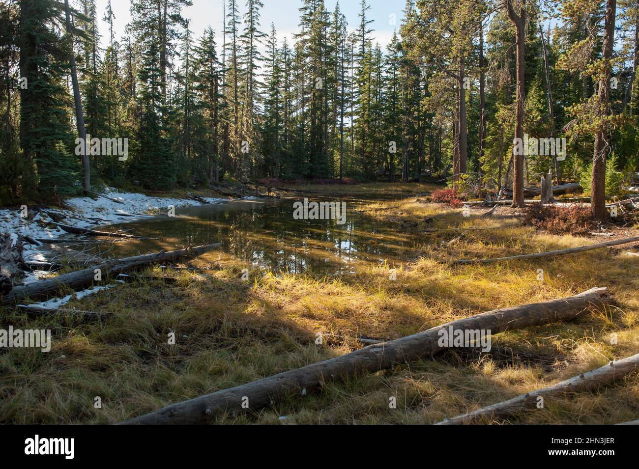 Un pequeño estanque al lado de Snell Lake Trail en el Diamond Peak Wilderness, Oregon. Finales de otoño. Foto de stock