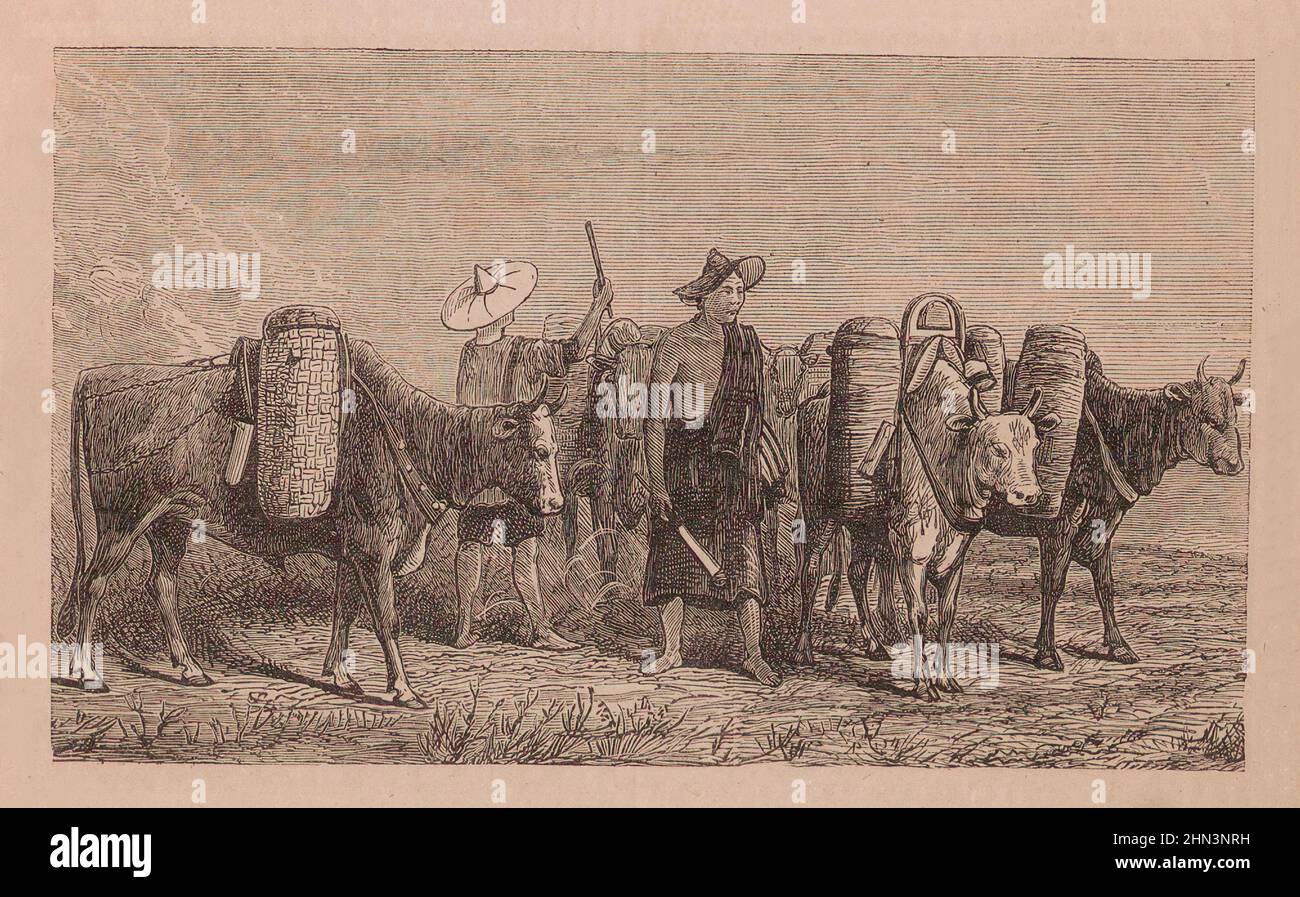 Chine del siglo 19th. Los Shans de las montañas de Yun-nan (Yunnan). Dinastía Qing. China. 1875 Shan son miembros del grupo étnico Tai (rama siamesa Foto de stock