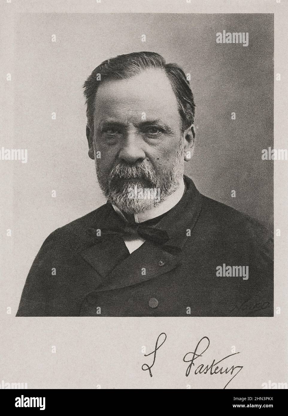 Retrato de Louis Pasteur. Louis Pasteur (1822 – 1895) fue un químico y microbiólogo francés conocido por sus descubrimientos de los principios de vacci Foto de stock