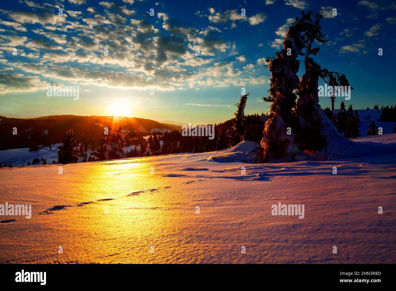 Puesta de sol frente a piceas cubiertas de nieve, invierno, Feldberg, Selva Negra, Baden-Württemberg, Alemania Foto de stock