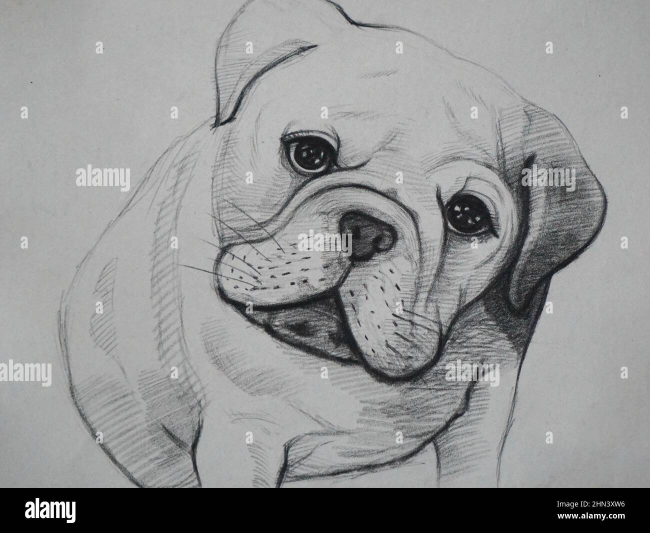 Tiempo libre, dibujo de líneas de luz y sombra, lindo bulldog , dibujos  animados, animales Fotografía de stock - Alamy