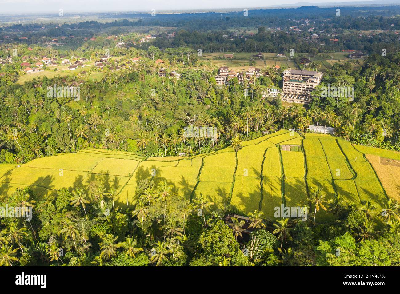 Vista aérea dramática de arrozales en el campo por Ubud en el centro de Bali en Indonesia Foto de stock