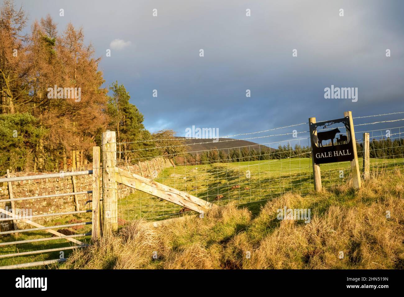 Esgrima de poblaciones alrededor de un campo pastoral de tierras altas, Melmerby, Cumbria, Reino Unido Foto de stock