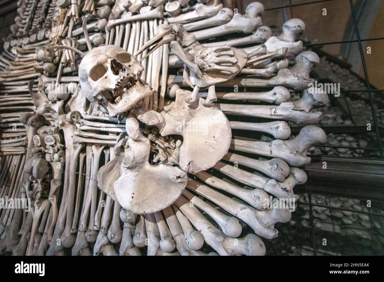 Conjunto de huesos del cuerpo humano. Cráneos y huesos humanos. Halloween. Cripta checa. Esqueleto. Zona de la ciudad checa de Kutná hora. La tumba. Checo. Cemet gótico Foto de stock