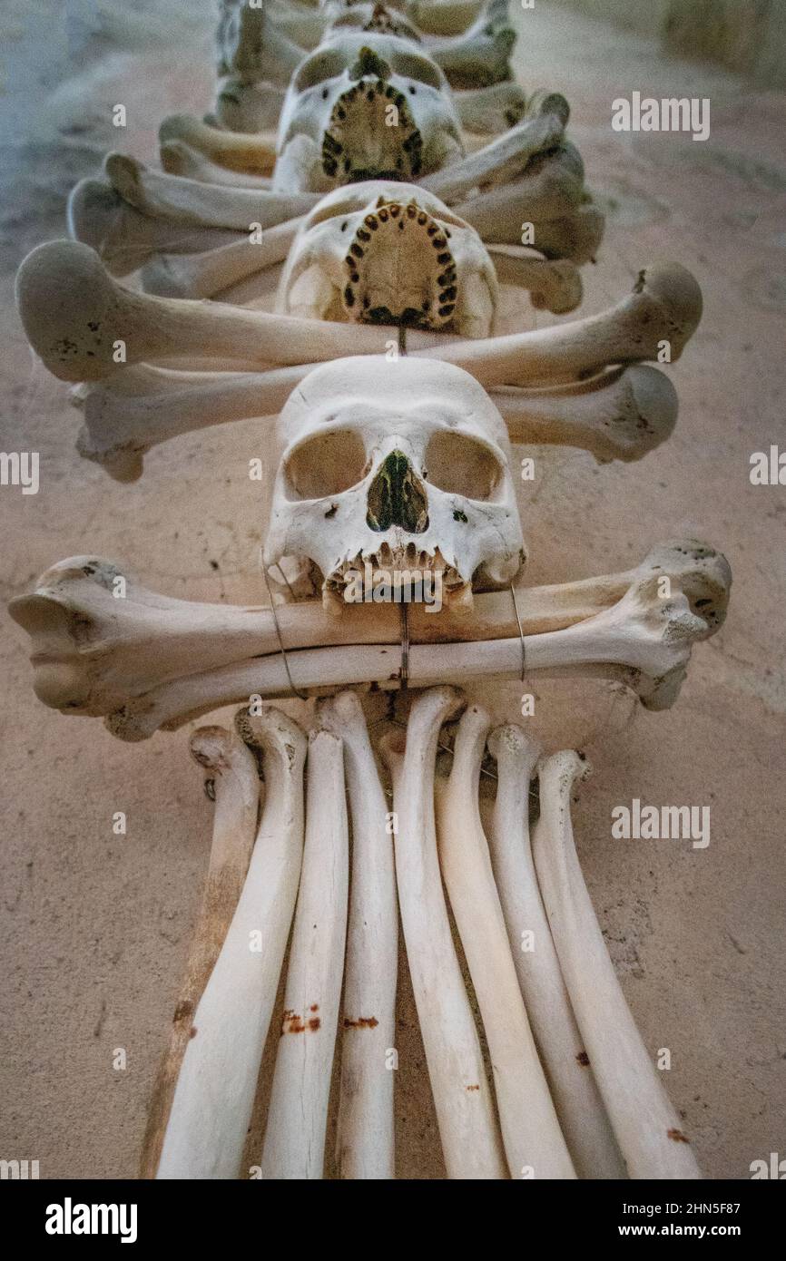 Cráneos y huesos humanos. Zona de la ciudad checa de Kutná hora. Halloween. Conjunto de huesos del cuerpo humano. Iglesia gótica cementerio en la silla de montar. Europa. El gra Foto de stock