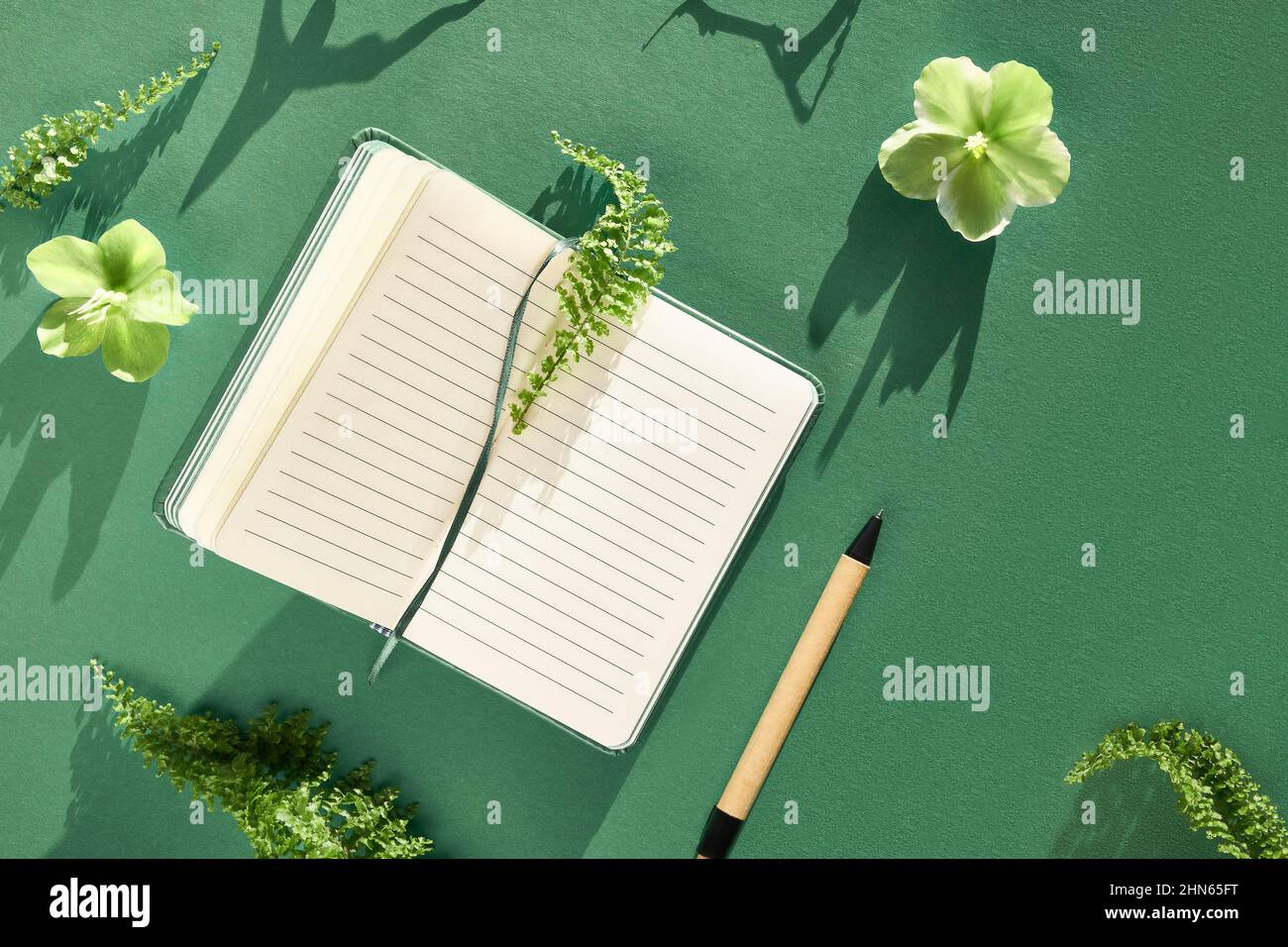 Cuaderno, plantas verdes y flores entre las páginas. Hojas de helecho, flores de Helleboro blanco verde. Foto de stock