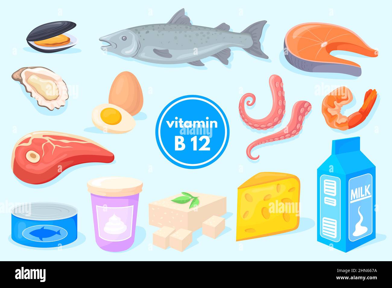 Productos de vitamina B12. Alimentos saludables, leche de pescado queso  huevo salmón camarón atún, nutrición alimentaria orgánica, dieta de frutas  veganas, vector de minerales energéticos. Alimentación y carne, ilustración  de la dieta