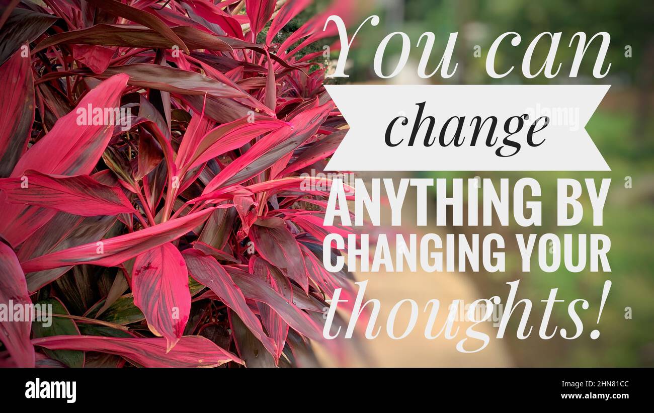 Cita motivacional e inspiradora - usted puede cambiar cualquier cosa cambiando sus pensamientos. Con fondo de naturaleza borrosa. Concepto motivacional Foto de stock