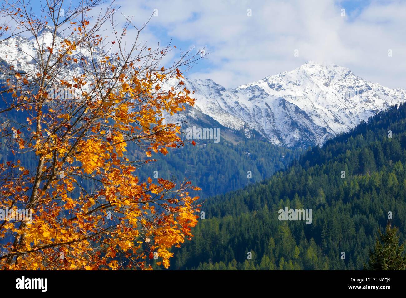 Montañas y árboles coloridos en el parque nacional Hohe Tauern en Tirol, Austria Foto de stock