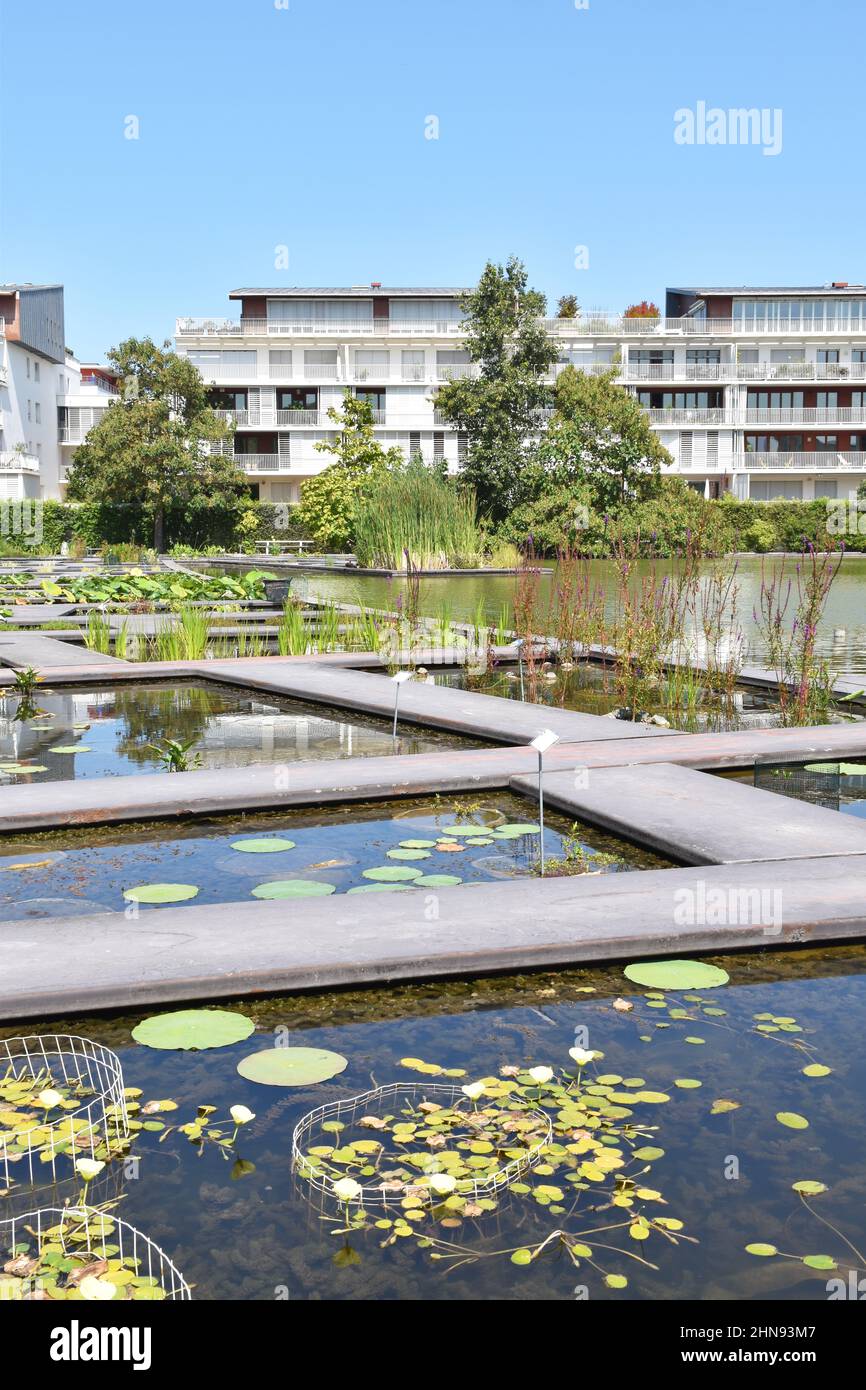 El nuevo Jardin Botanique, Burdeos, en un campo de color marrón cerca del río Garona, abrió 2003, para la investigación científica, y como jardín de placer Foto de stock