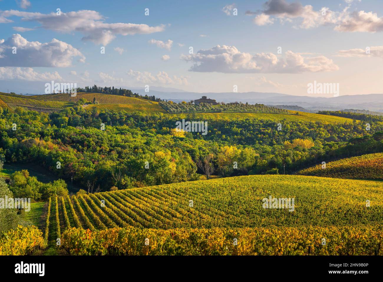 Gaiole in Chianti viña y panorama al atardecer en otoño. Toscana, Italia Europa. Foto de stock