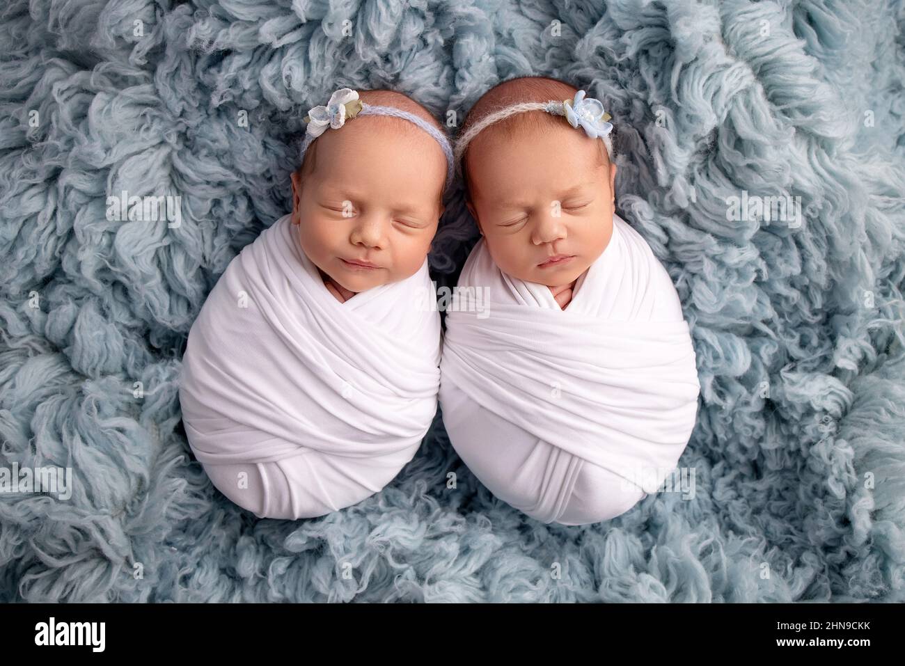 Niñas pequeñas recién nacidas gemelas en capullos blancos sobre fondo azul.  Una gemela recién nacida duerme junto a su hermana. Niñas recién nacidas  gemelas en cintas blancas Fotografía de stock - Alamy